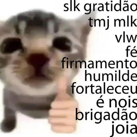 zoom no rosto de um gato, ao lado dele há um emoji de mão fazendo um belezinha e no canto está escrito: cê louco, gratidão, tamo junto moleque, valeu, fé, firmamento, humilde, fortaleceu. é nois obrigadão jóia